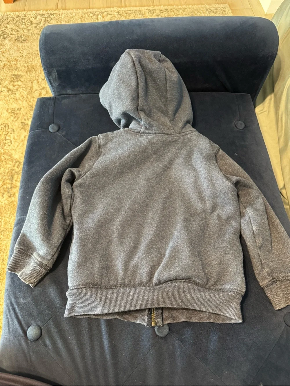 Carhartt Kids' Brown Hooded Zip Sweatshirt with Chest Logo plus 2 more
